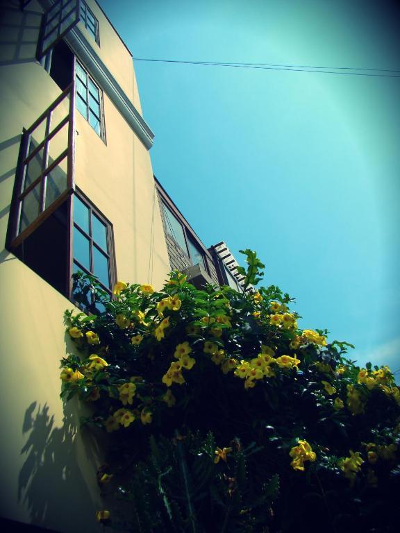 Casa De Baraybar Ξενοδοχείο Λίμα Εξωτερικό φωτογραφία